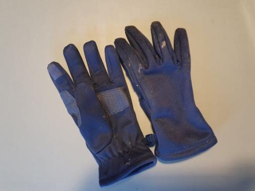 08/2024: blaue Handschuhe (Tchibo, Gr. 146-164) im OT Großbodungen auf der Wiese am Marktplatz am 18.04.2024 gefunden