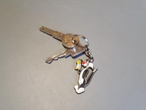 05/2024: Schlüsselbund bestehend aus zwei Schlüsseln und einem Anhänger im OT Bischofferode auf dem Parkplatz am Friedhof am 25.03.2024 gefunden